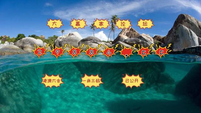 澳门天天开好彩大全65期，词语释义解释落实
